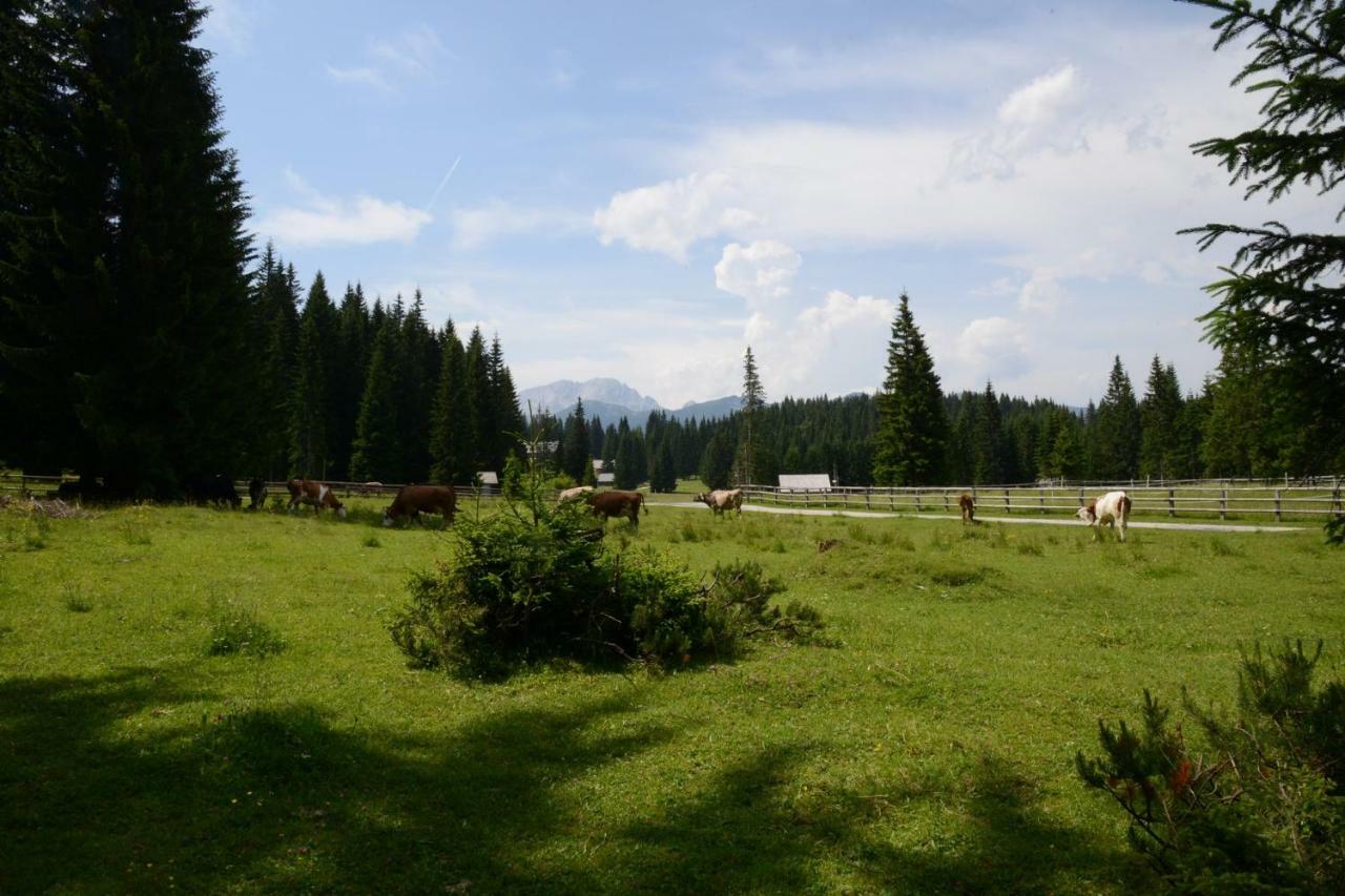 Pocitniska Hisa Jurcek Pokljuka Βίλα Goreljek Εξωτερικό φωτογραφία